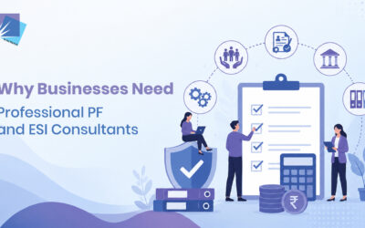 Why Businesses Need Professional PF and ESI Consultants  